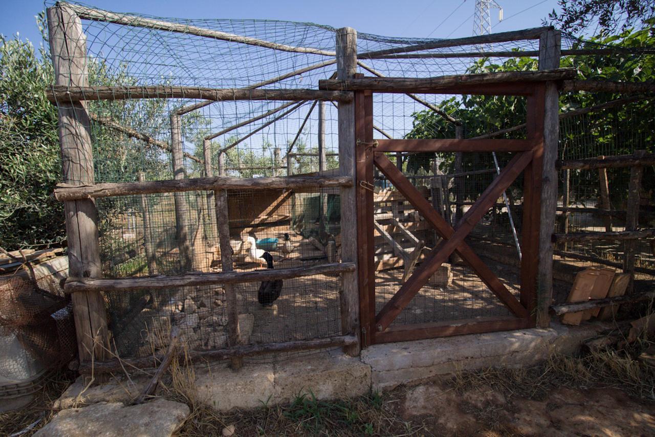Biancolivo Gallipoli In Salento Ngoại thất bức ảnh